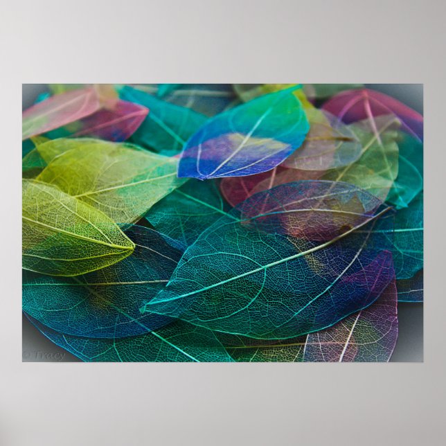 Skeleton Lövs Poster (Framsidan)