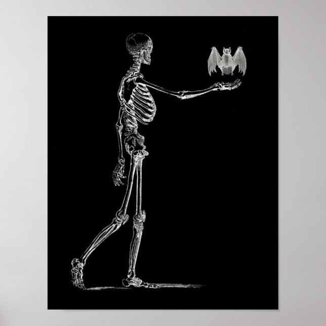 Skeleton och Fladdermus Poster (Framsidan)