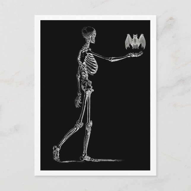 Skeleton och Fladdermus vykort (Framsida)