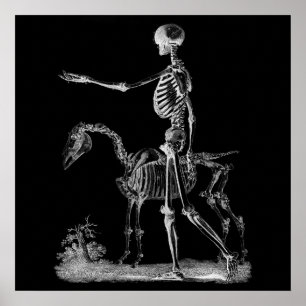 Skeleton och Horse Halloween Decor Poster BW3