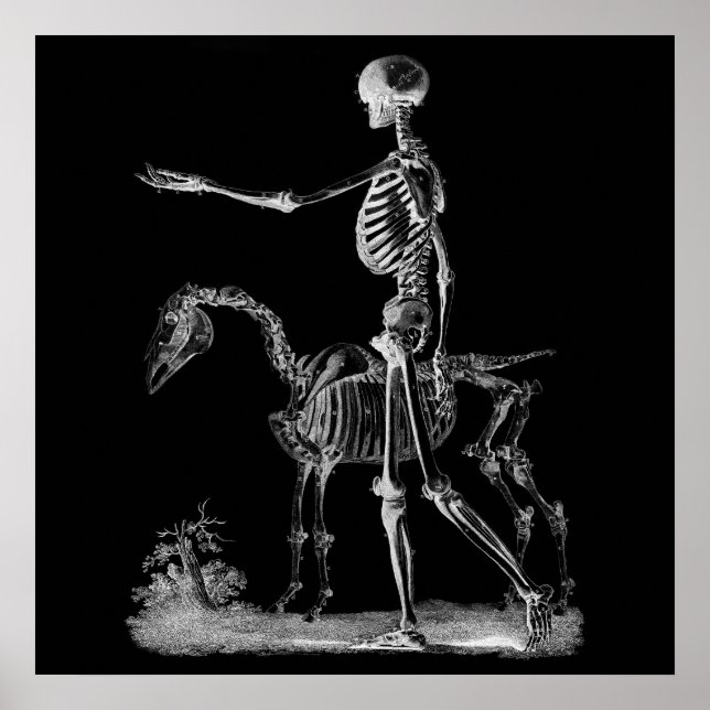 Skeleton och Horse Halloween Decor Poster BW3 (Framsidan)