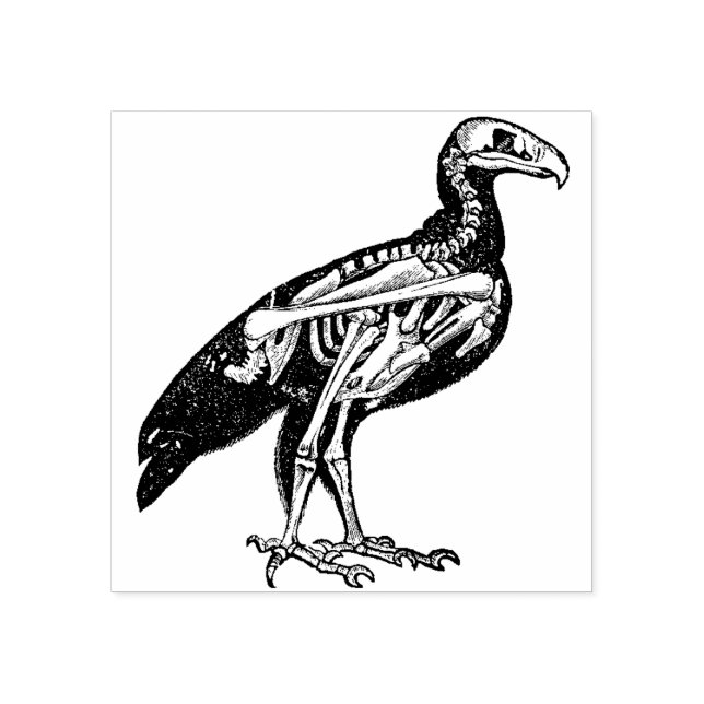 Skeleton of a Bird Stämpel (Tryck)