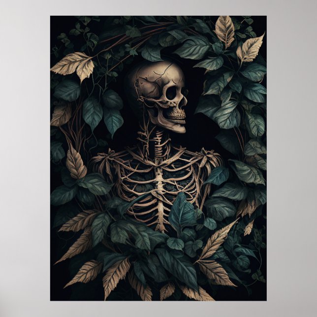 Skeleton på växter poster (Framsidan)