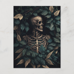 Skeleton på växter vykort