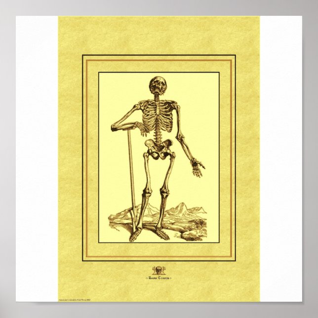 Skeleton Poster (Framsidan)