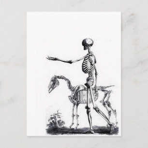 Skeleton-skalle Halloween Day of the dead-utskrift Vykort