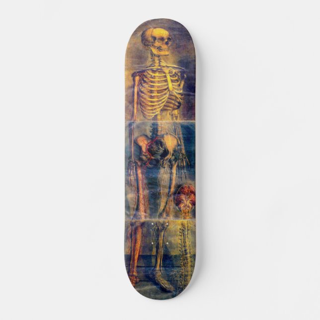 Skeleton Skateboard Bräda 19,5 Cm (Framsida)
