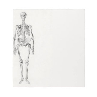 Skeleton Skull Anteckningsblock