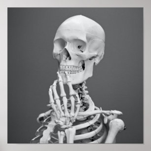 Skeleton Skull Halloween Black and White Grått Poster