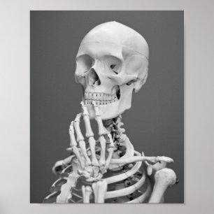 Skeleton Skull Halloween Black and White Grått Poster
