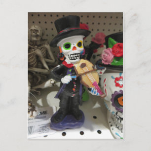 Skeleton Spelman Vykort