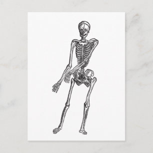 Skeleton Vykort