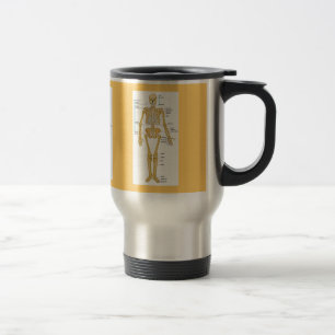 Skeletondiagram Resemugg