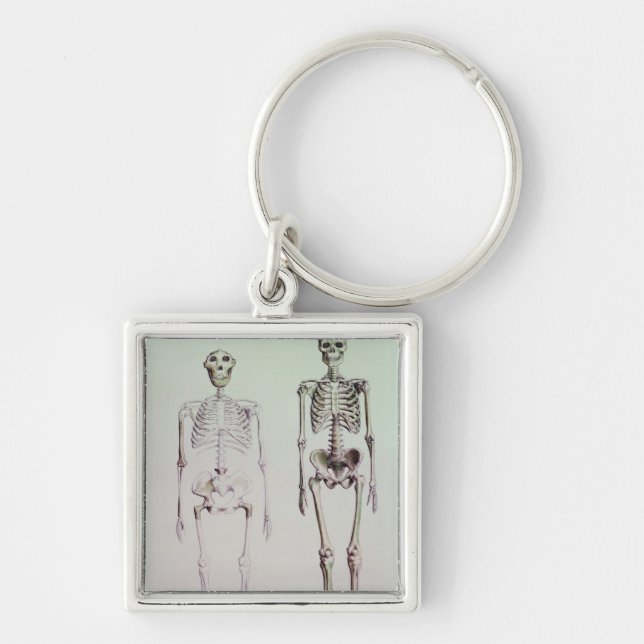 Skeletoner av Australopithecus Boisei Fyrkantig Silverfärgad Nyckelring (Framsidan)