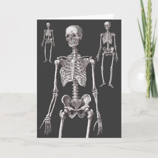 Skeletonerna är utanför garderoben! Kort för hälsn