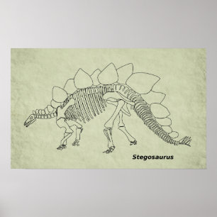 Skelett- affisch för Stegosaurus