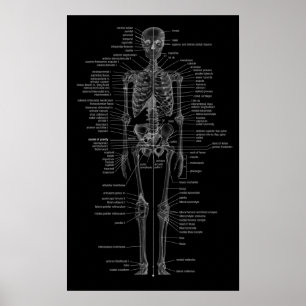 skelett- affisch-svart tavla stil poster