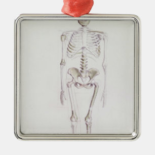 Skelett av Australopithecusafricanusen Julgransprydnad Metall