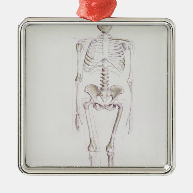 Skelett av Australopithecusafricanusen Julgransprydnad Metall (Framsidan)