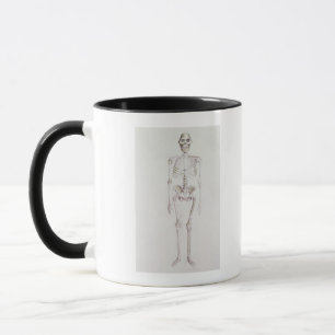 Skelett av Australopithecusafricanusen Mugg