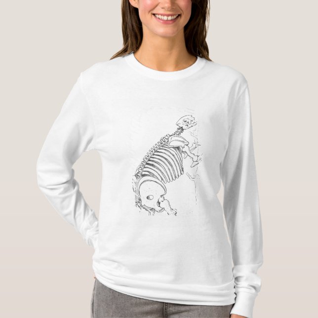 Skelett av en Mylodon Tee (Framsida)