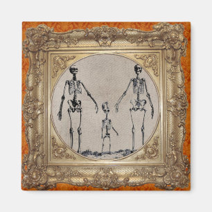 Skelett- familjmagnet magnet