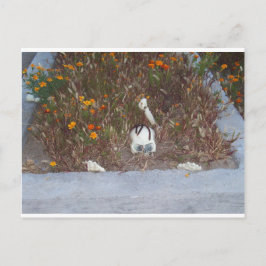 Skelett i marigoldblommor vykort