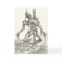 Skelett- läkarundersökning för Cadaverlikanatomi