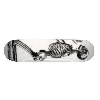 skelett mini skateboard bräda 18,7 cm