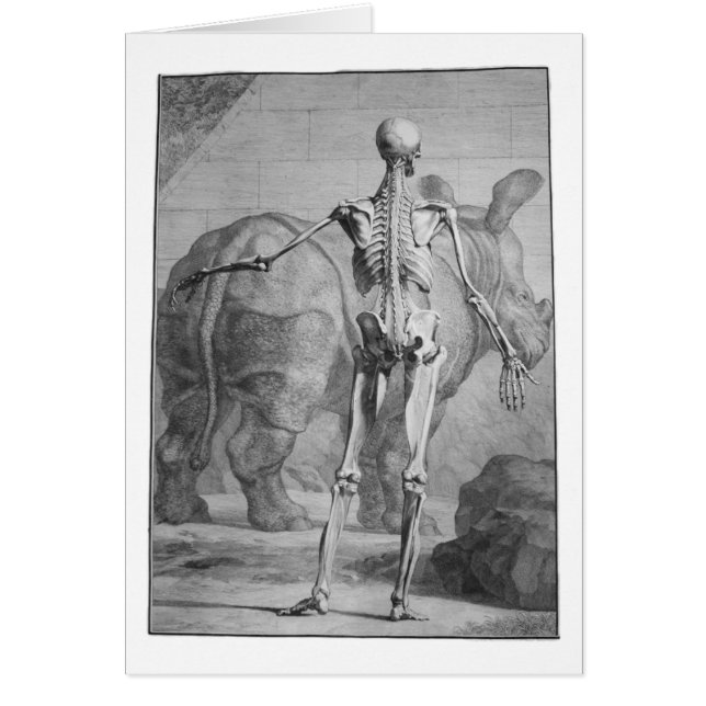 Skelett & noshörning hälsningskort (Framsidan)