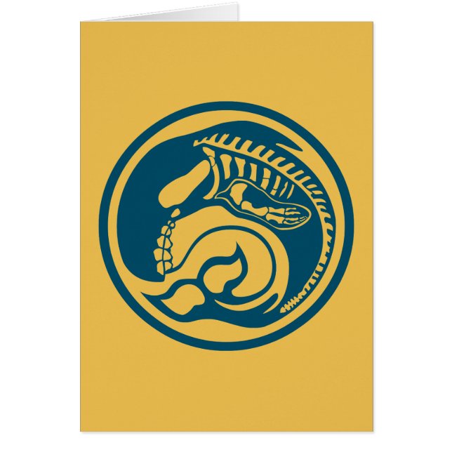 skelett OBS kort (Framsidan)