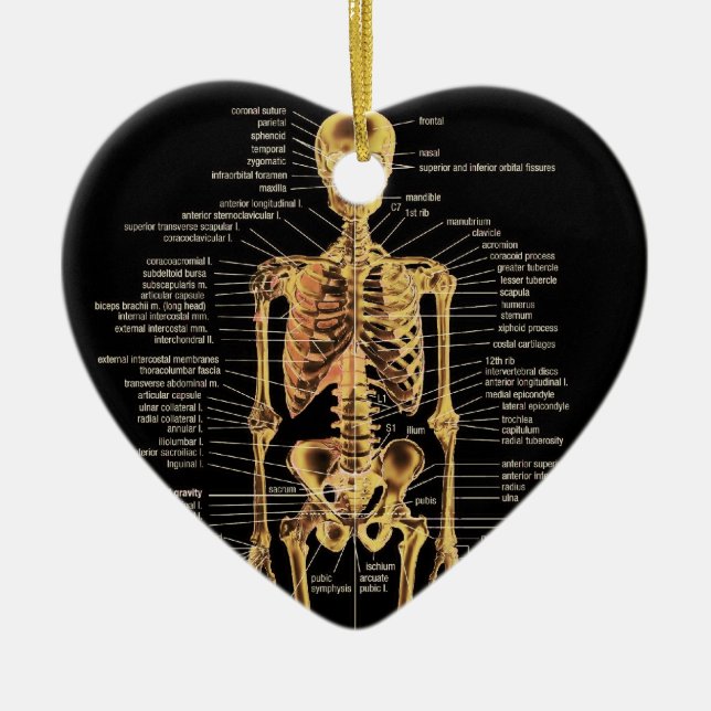 Skelett- prydnad julgransprydnad keramik (Framsidan)