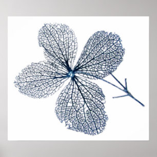 Skelett- ~-tryck för blomma poster