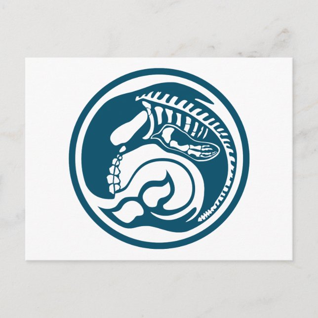 skelett vykort (Framsida)