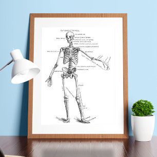 Skelettdiagram för vintage i skelettet doktor poster