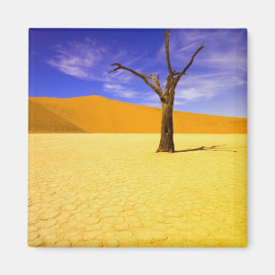 Skelettträd i Dead Vlei Sossusvlei, Magnet