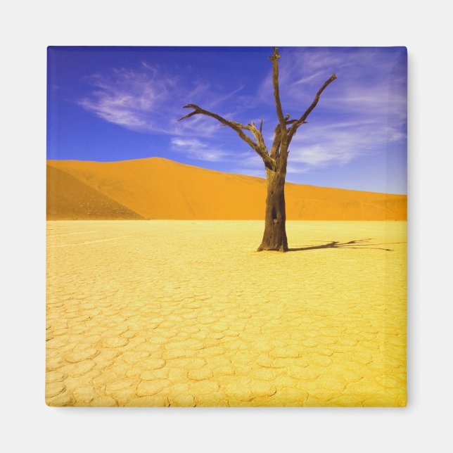 Skelettträd i Dead Vlei Sossusvlei, Magnet (Framsidan)