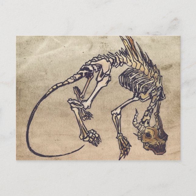 Skellie Postcard Vykort (Framsida)