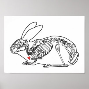 SKELLY BUN POSTER