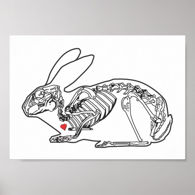 SKELLY BUN POSTER (Framsidan)