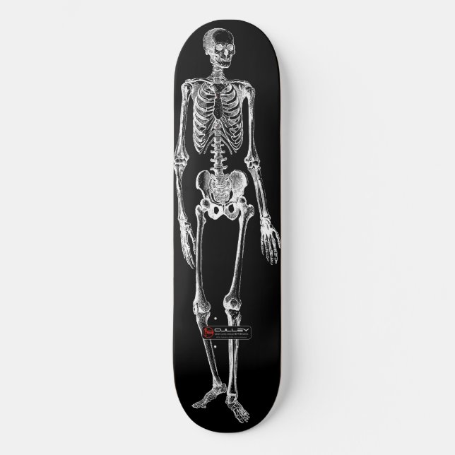 Skelo 001 skateboard bräda 19,5 cm (Framsida)