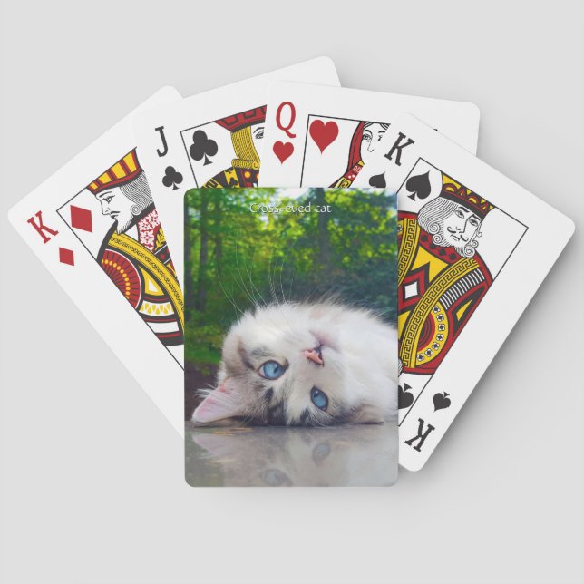 Skelögd katt casinokort (Baksidan)