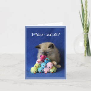 Skelögd kattunge med leksakmöss tack kort