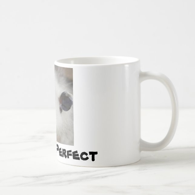 Skelögda Opposum, Heidi Kaffemugg (Höger)