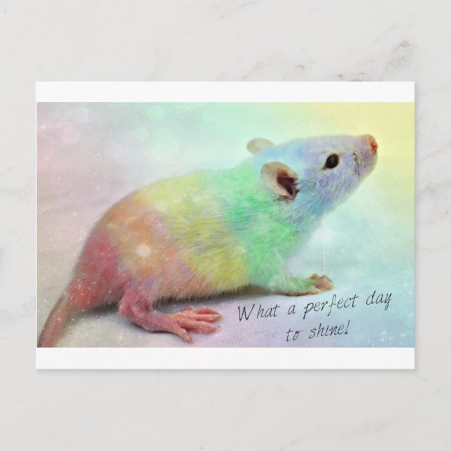 Sken på! vykort (Framsida)