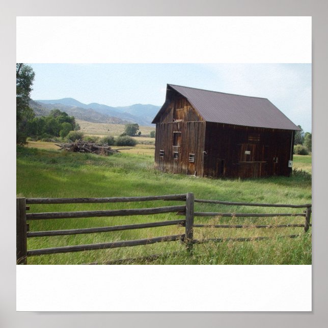 Skenhöns Poster (Framsidan)