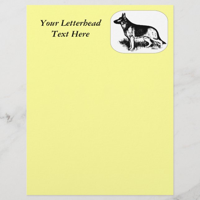 Skepherd-profil (Framsida)