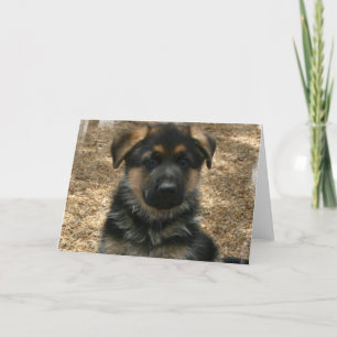 Skepherd Puppy Greeting Card Kort