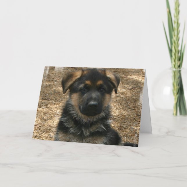 Skepherd Puppy Greeting Card Kort (Framsida)