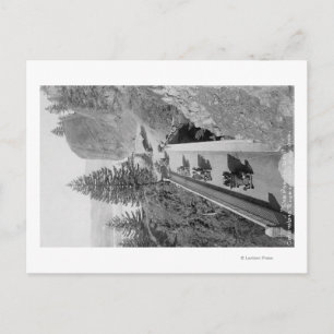 Skepherd's Dell on Columbia River Photograph Vykort